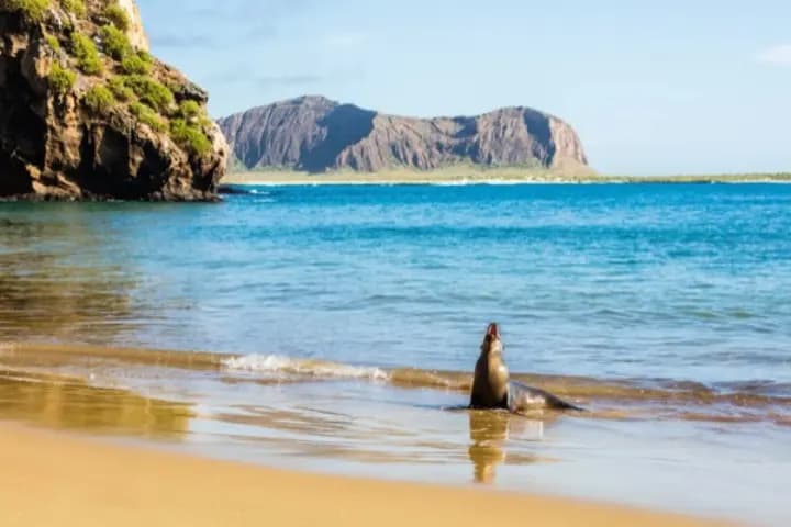 Ecuador destination